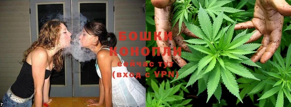 ПСИЛОЦИБИНОВЫЕ ГРИБЫ Алексеевка