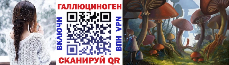 Галлюциногенные грибы Psilocybine cubensis  Щёлкино 